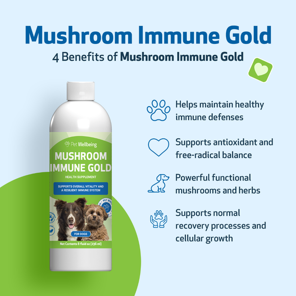Mushroom Immune Gold - Holistic Cancer Support for Cats (8 oz) - Cat Supplements & Vitamins 4