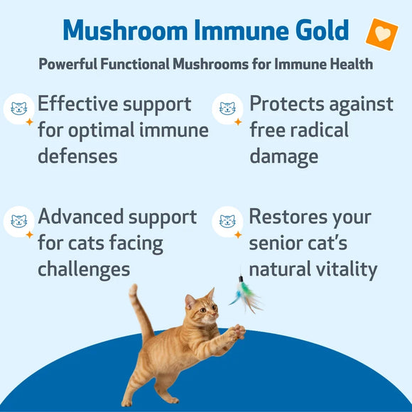 Mushroom Immune Gold - Holistic Cancer Support for Cats (8 oz) - Cat Supplements & Vitamins 3