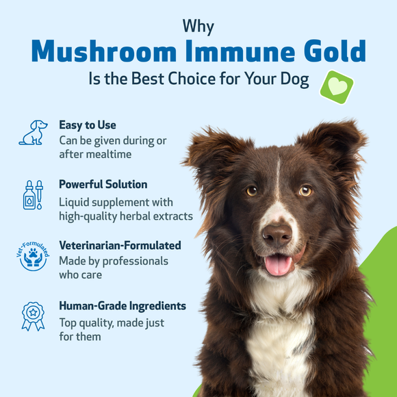 Mushroom Immune Gold - Holistic Cancer Support for Cats (8 oz) - Cat Supplements & Vitamins 5