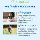 Mushroom Immune Gold - Holistic Cancer Support for Cats (8 oz) - Cat Supplements & Vitamins 9