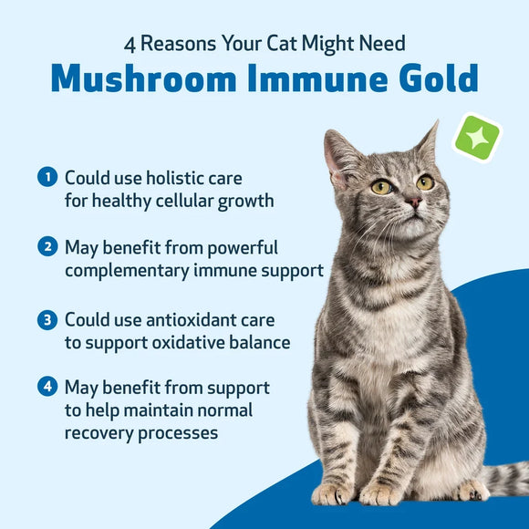 Mushroom Immune Gold - Holistic Cancer Support for Cats (8 oz) - Cat Supplements & Vitamins 10