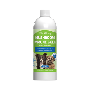 Mushroom Immune Gold - Holistic Cancer Support for Cats (8 oz) - Cat Supplements & Vitamins 1