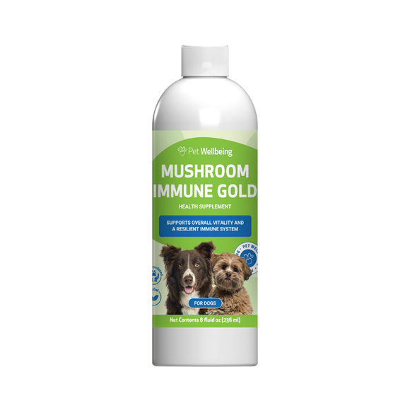 Mushroom Immune Gold - Holistic Cancer Support for Cats (8 oz) - Cat Supplements & Vitamins 1