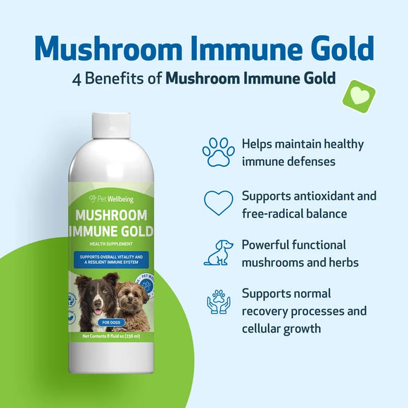 Mushroom Immune Gold - Holistic Cancer Support for Dogs (8 oz) - Dog Supplements & Vitamins 11