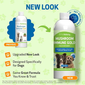 Mushroom Immune Gold - Holistic Cancer Support for Dogs (8 oz) - Dog Supplements & Vitamins 2