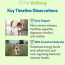 Mushroom Immune Gold - Holistic Cancer Support for Dogs (8 oz) - Dog Supplements & Vitamins 9