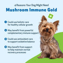 Mushroom Immune Gold - Holistic Cancer Support for Dogs (8 oz) - Dog Supplements & Vitamins 10