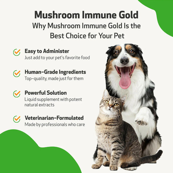 Mushroom Immune Gold - Holistic Cancer Support for Dogs (8 oz)