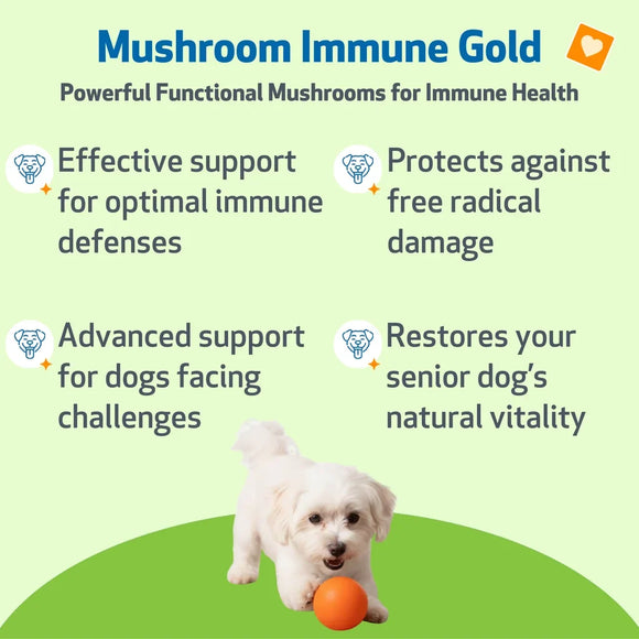 Mushroom Immune Gold - Holistic Cancer Support for Dogs (8 oz) - Dog Supplements & Vitamins 3
