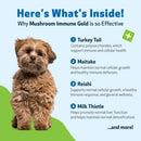 Mushroom Immune Gold - Holistic Cancer Support for Dogs (8 oz) - Dog Supplements & Vitamins 4