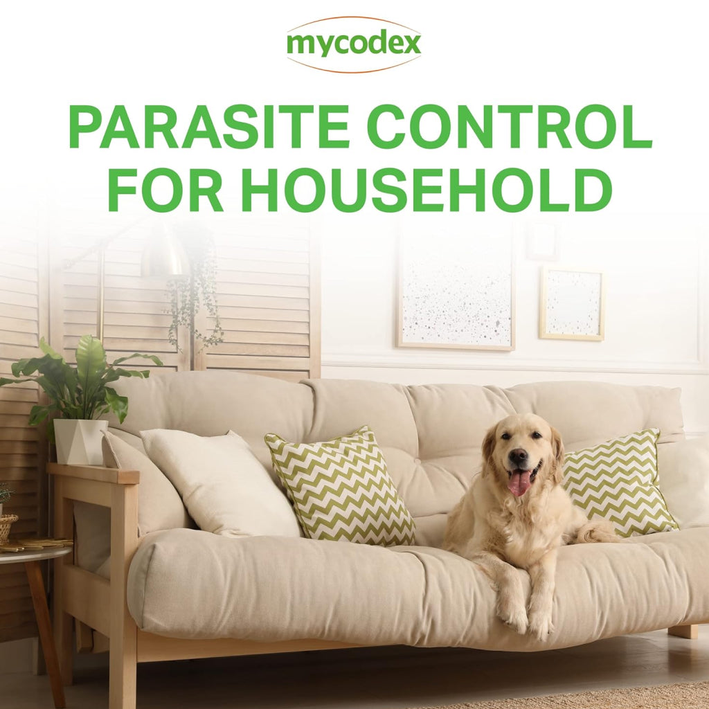 Mycodex Plus Environmental Control Aerosol Household Spray