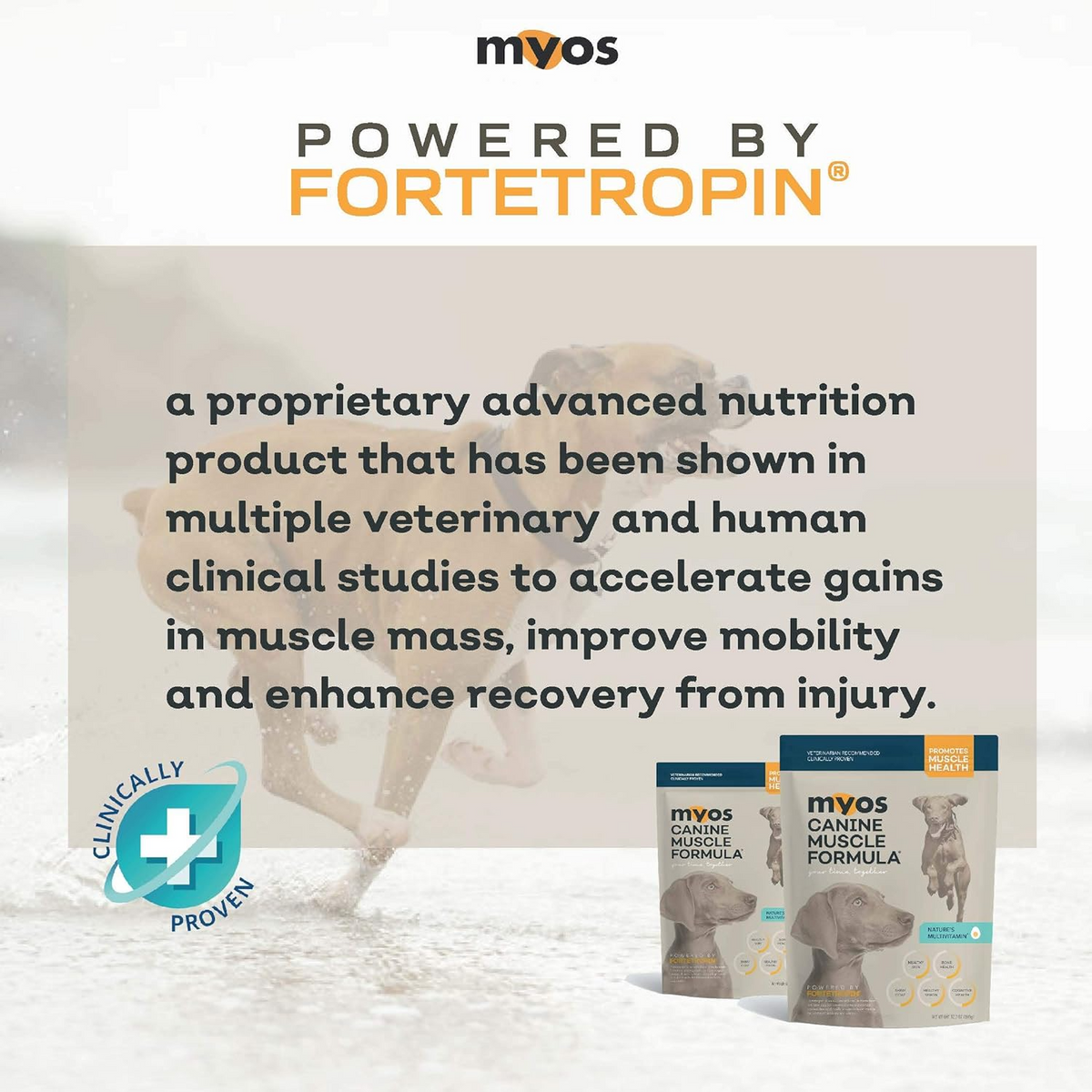 MYOS Canine Muscle Formula Vet Strength Dog Supplement