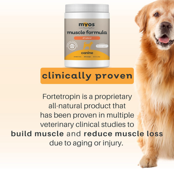 MYOS Canine Muscle Formula Dog Supplement - Dog Supplements & Vitamins 5