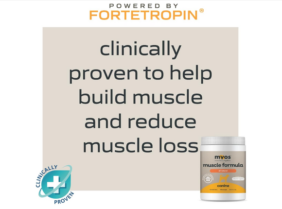 MYOS Canine Muscle Formula Dog Supplement - Dog Supplements & Vitamins 4
