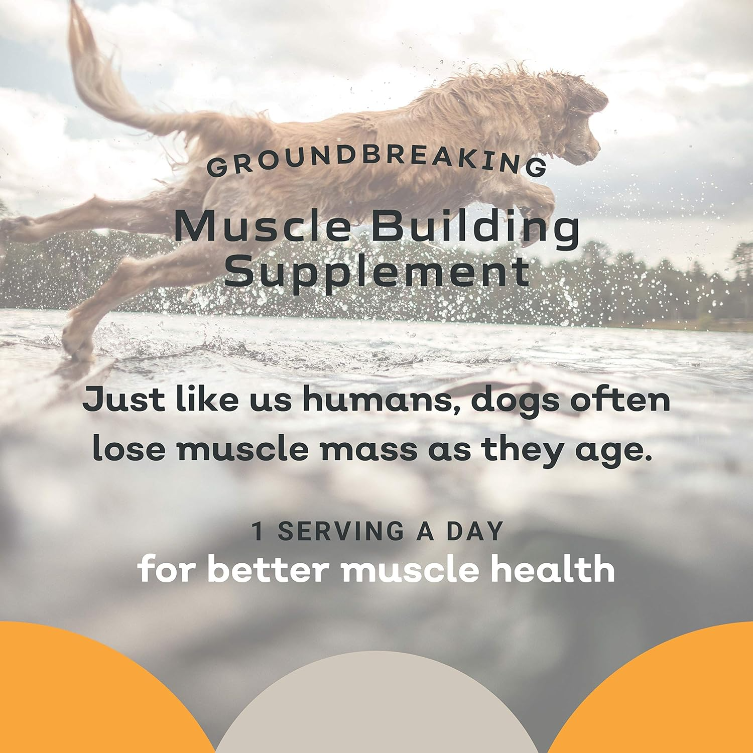 MYOS Canine Muscle Formula Vet Strength Dog Supplement