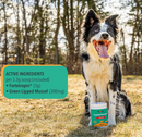 MYOS Canine Muscle & Joint Formula with Green Lipid Mussel - Horse Vitamins & Supplements 5