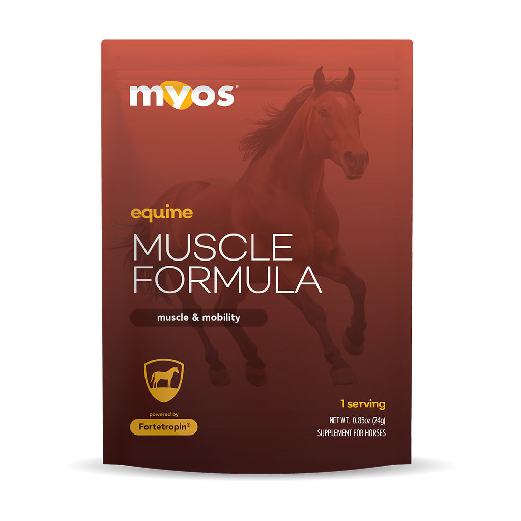 MYOS Equine Muscle Formula for Horse Muscle Health