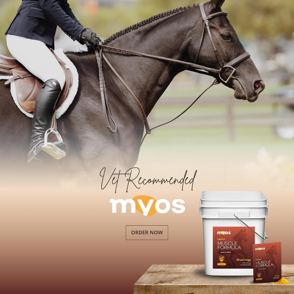 MYOS Equine Muscle & Mobility Formula for Horses - Horse Vitamins & Supplements 2