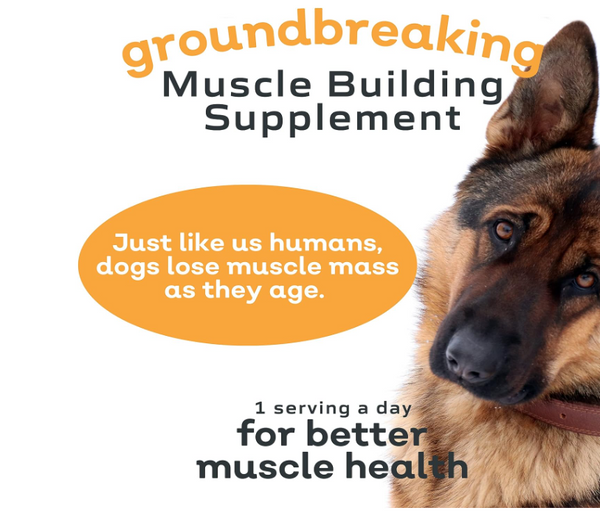 MYOS Muscle Formula for Dogs with Fortetropin®