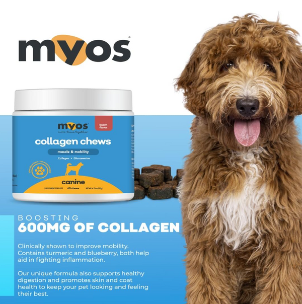 MYOS Muscle and Mobility Collagen Chews for Dogs
