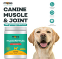 MYOS Muscle and Joint Formula with Green Lipid Mussel 