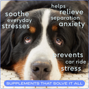 Native Pet Anxiety Relief Calming Chicken Chews for Dogs - Dog Calming & Anxiety Supplements 2