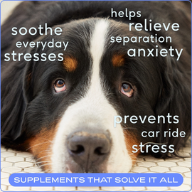 Native Pet Anxiety Relief Calming Chicken Chews for Dogs - Dog Calming & Anxiety Supplements 2