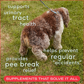 Native Pet Bladder Urinary Tracts Chicken Chews Dog Supplement - Dog Kidney & Bladder Supplements 2