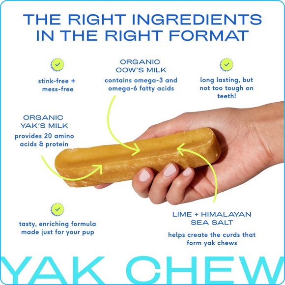 Native Pet Gluten & Lactose-Free Yak Flavored Dental Chews for Dogs - Dog Dental Chews & Treats 3