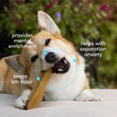 Native Pet Gluten & Lactose-Free Yak Flavored Dental Chews for Dogs - Dog Dental Chews & Treats 2