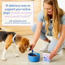 Native Pet Goat Milk Powder Recovery & Energy Support For Active Dogs - Dog Digestive & Probiotics Supplements 4