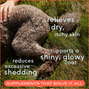 Native Pet Omega 3 Fish Oil Skin & Coat Health Support for Dogs - Dog Skin & Coat Supplements 2
