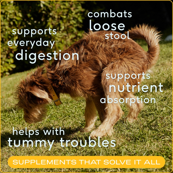Native Pet Organic Pumpkin Fiber Supplement for Dogs - Dog Digestive & Probiotics Supplements 2