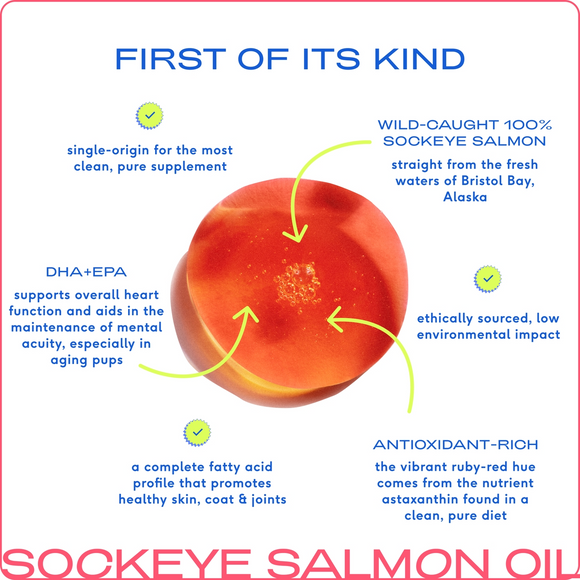 Native Pet Wild-Caught Alaskan Sockeye Salmon Oil for Dogs (8 oz) - Immune Support 2