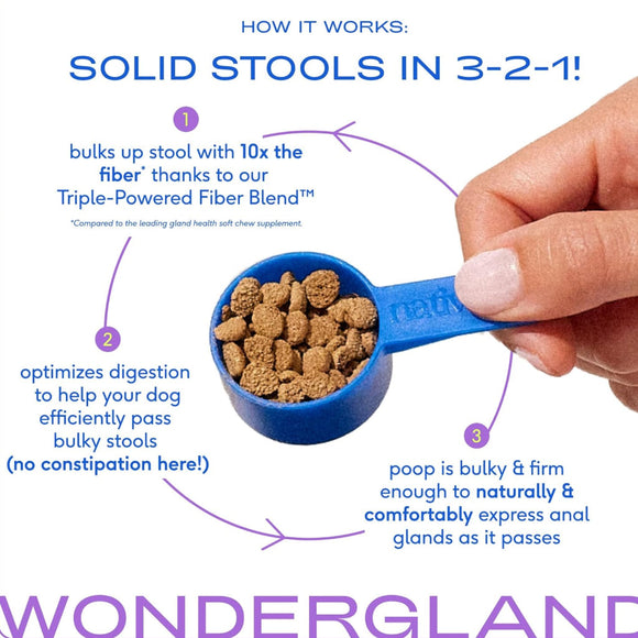 Native Pet Wondergland Anal Gland Support Supplement for Dogs
