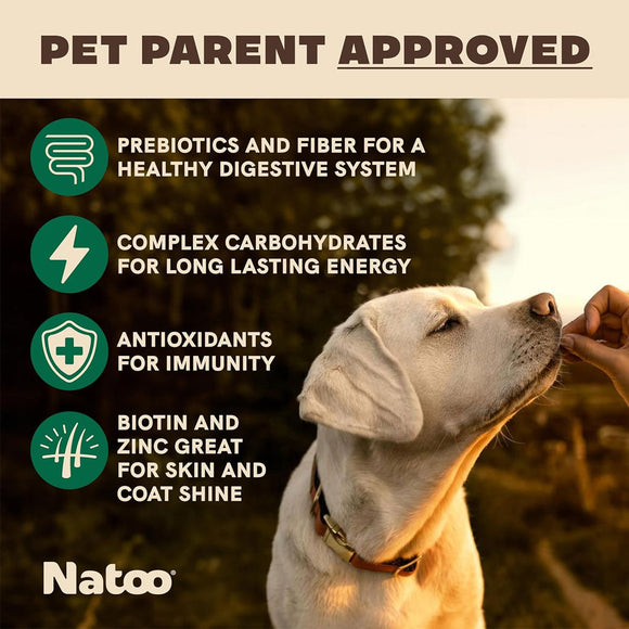 Natoo Crunchy Biscuits Big Bite Coconut & Mango Flavor Dog Treats