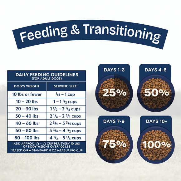 Natural Balance Health Protection Dry Dog Food, Salmon, Brown Rice & Pumpkin Recipe