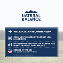 Natural Balance Health Protection Dry Dog Food, Salmon, Brown Rice & Pumpkin Recipe