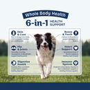 Natural Balance Health Protection Dry Dog Food, Salmon, Brown Rice & Pumpkin Recipe