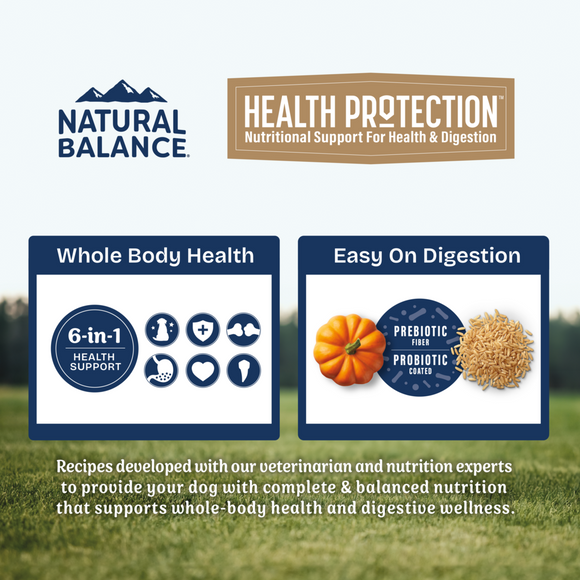 Natural Balance Health Protection Puppy Dry Dog Food, Chicken, Brown Rice & Pumpkin Recipe
