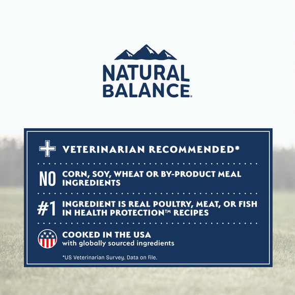 Natural Balance Health Protection Small Breed Dry Dog Food, Chicken, Brown Rice & Pumpkin Recipe