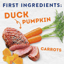 Duck, pumpkin, carrots, and meat on a white background with text indicating 'First Ingredients'.