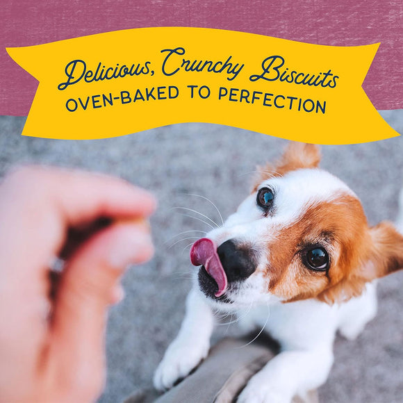 Natural Balance Pet Foods Rewards Bite-Size Crunchy Biscuits Small Breed Dog Treats Venison 8-oz - Dog Treats 5