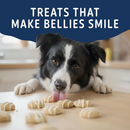 Natural Balance Yo-Gut Bites Crunchy Dogs Treats - Dog Treats 9