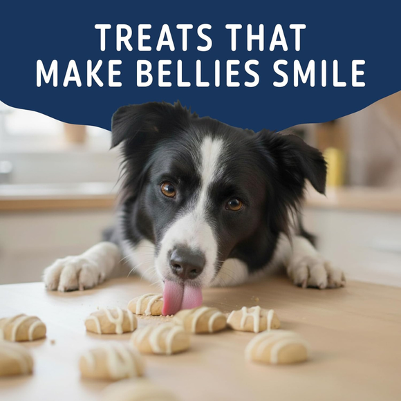 Natural Balance Yo-Gut Bites Crunchy Dogs Treats - Dog Treats 9