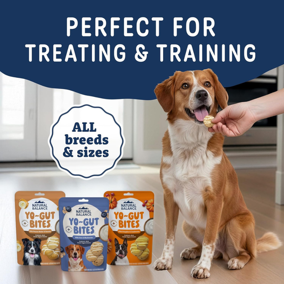 Natural Balance Yo-Gut Bites Crunchy Dogs Treats - Dog Treats 5