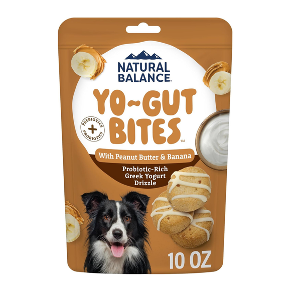 Natural Balance Yo-Gut Bites Crunchy Dogs Treats - Peanut Butter, Banana & Greek Yogurt Drizzle / 10 oz - Dog Treats 24