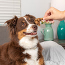 Natural Cravings USA Beef Roasters Dog Chew