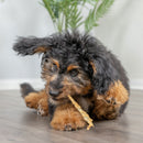 Natural Cravings USA Turkey Tendons Chew for Dogs & Cats
