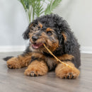 Natural Cravings USA Turkey Tendons Chew for Dogs & Cats